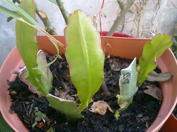 04022012591.jpg