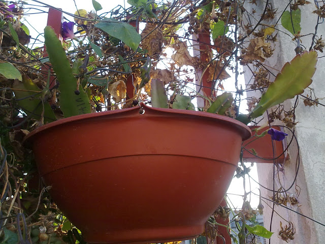 04022012593.jpg