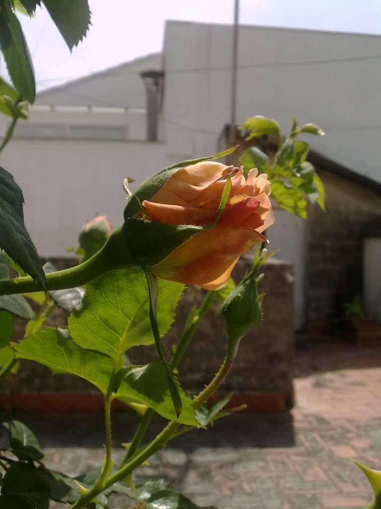 040420111314.jpg
