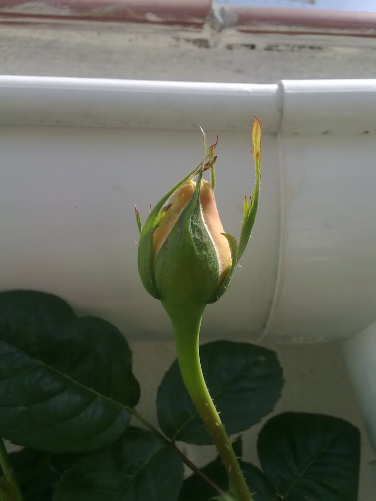 040420111316.jpg