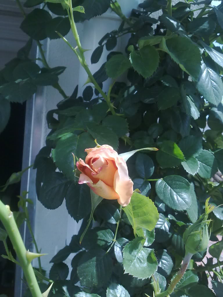 040420111317.jpg
