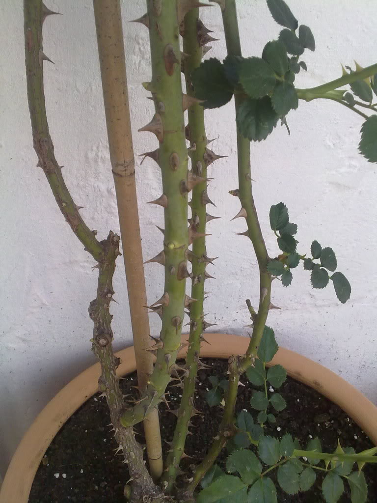 040420111321.jpg