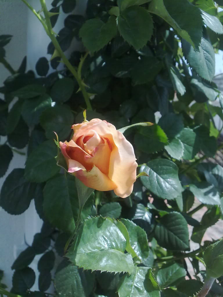040420111322.jpg