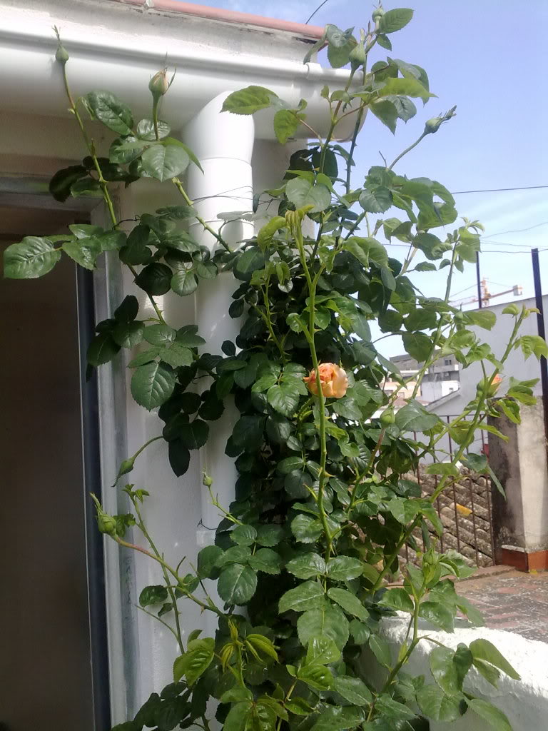 040420111323.jpg