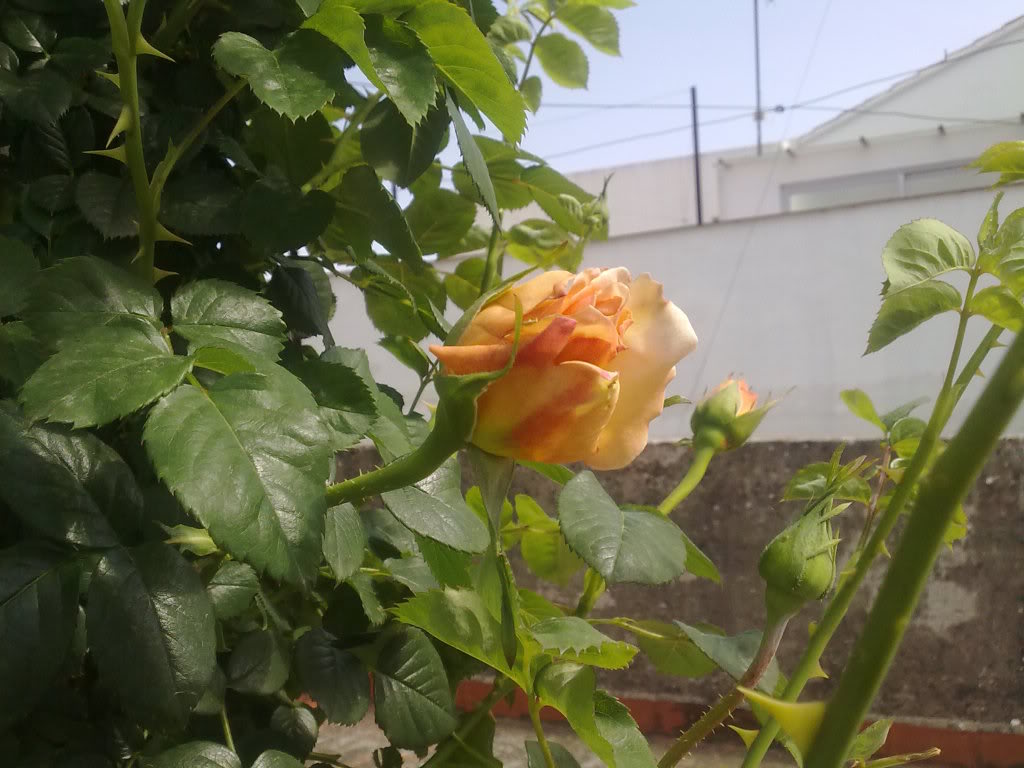 040420111324.jpg