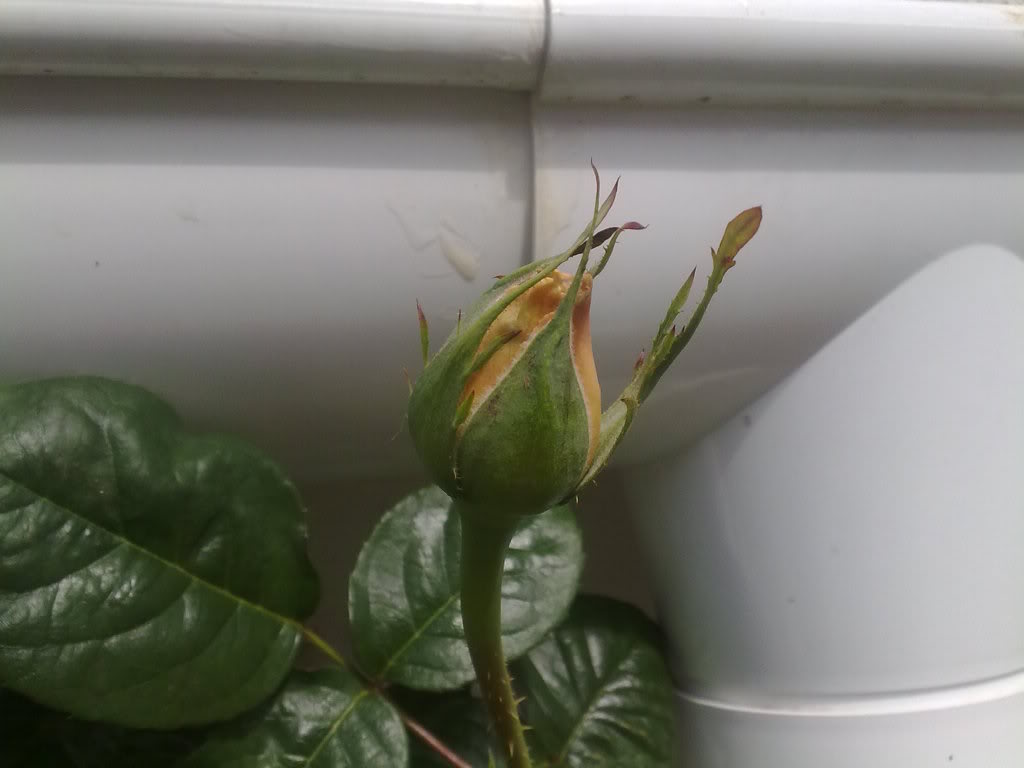 040420111326.jpg