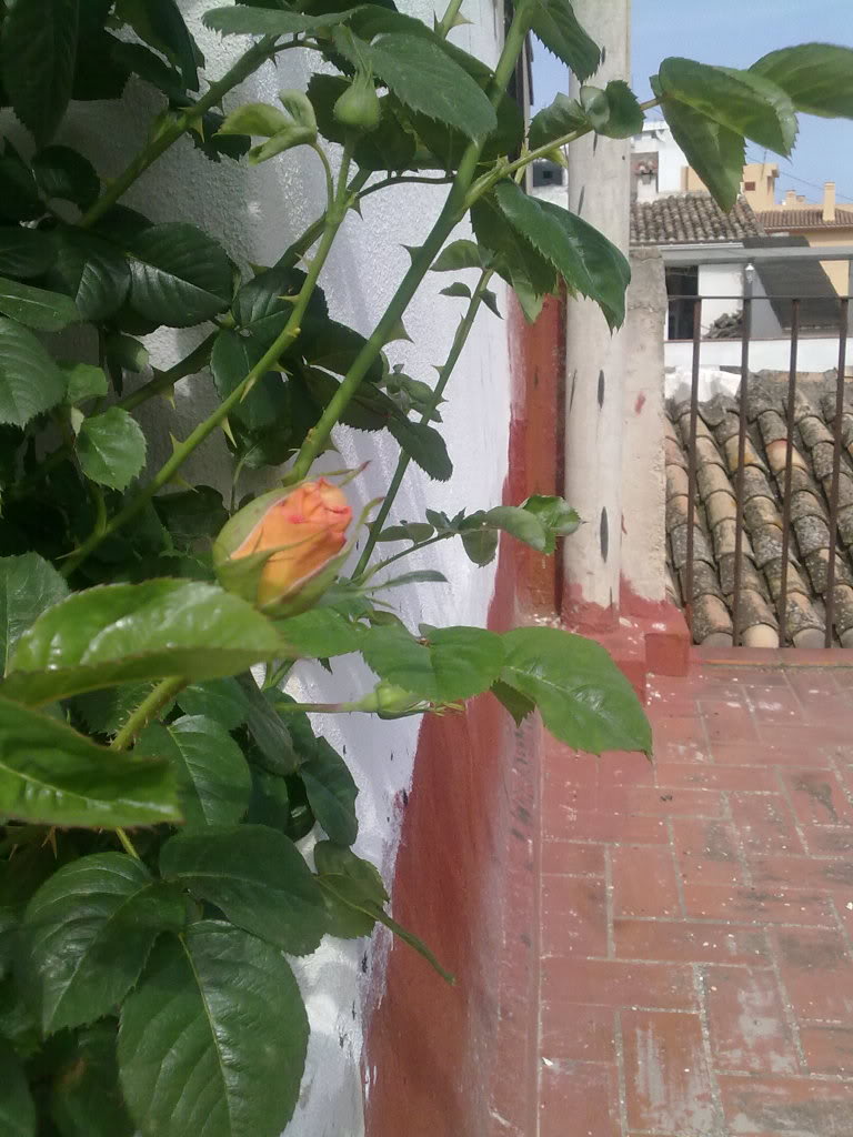 040420111329.jpg