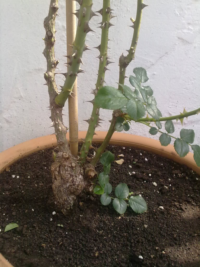 040420111330.jpg