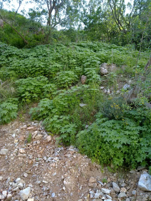 040420111525.jpg