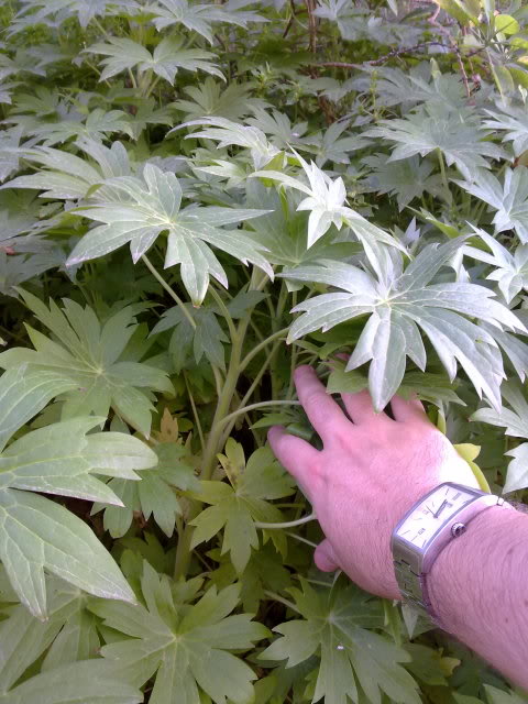040420111526.jpg