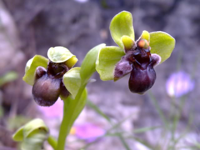 040420111576.jpg