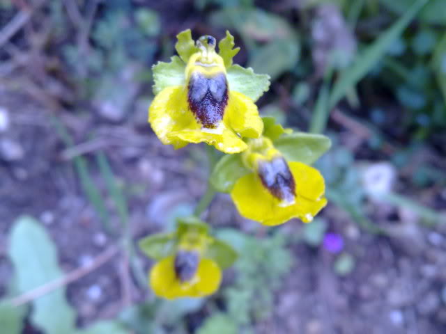 040420111582.jpg