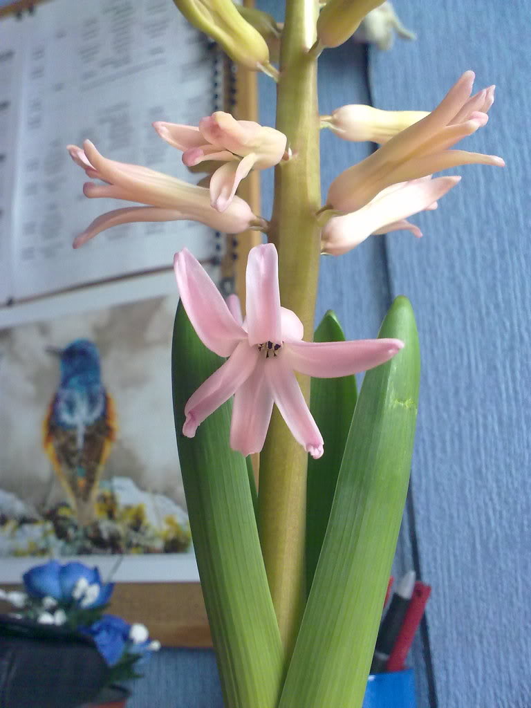 04042011254.jpg