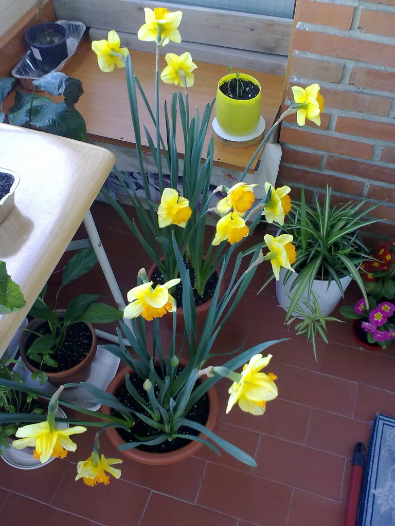 04042011261.jpg