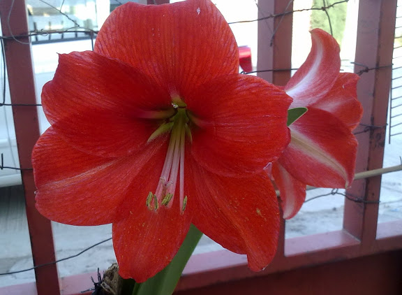 040420121202.jpg