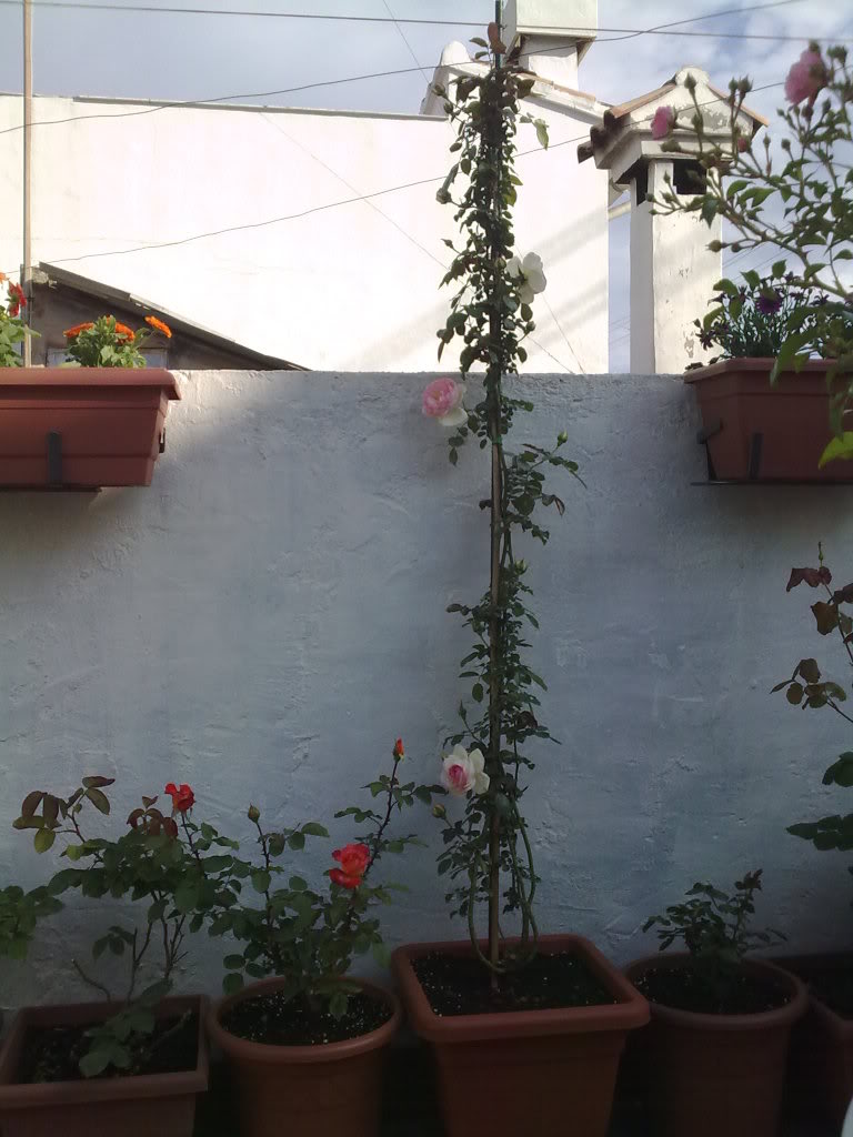 040520111794.jpg