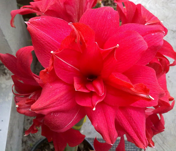 040520121439.jpg