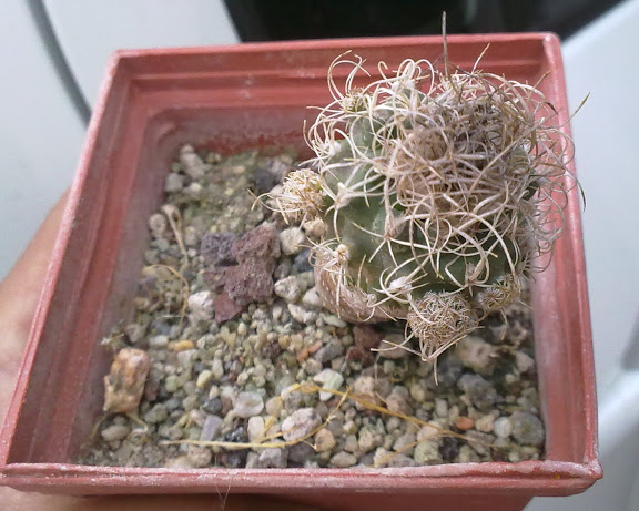 040520121445.jpg