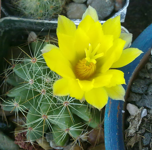 040620121772.jpg