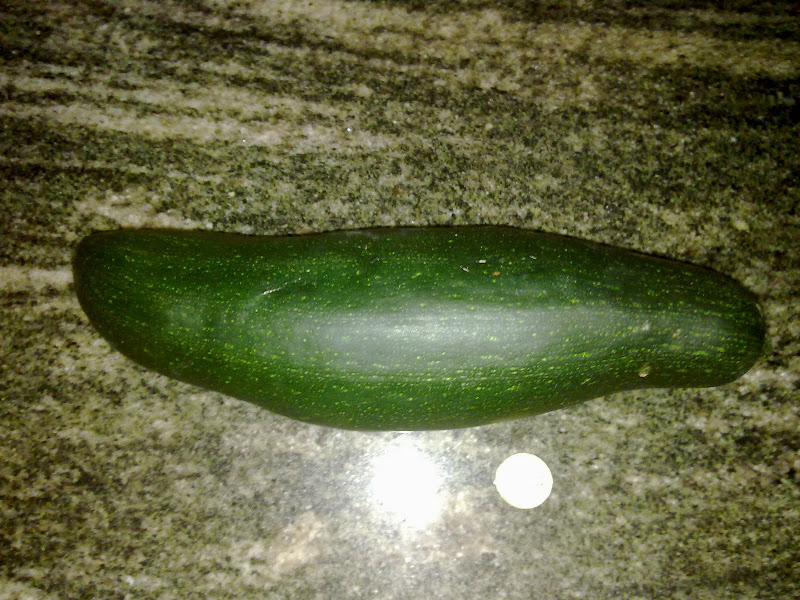 04072011291.jpg