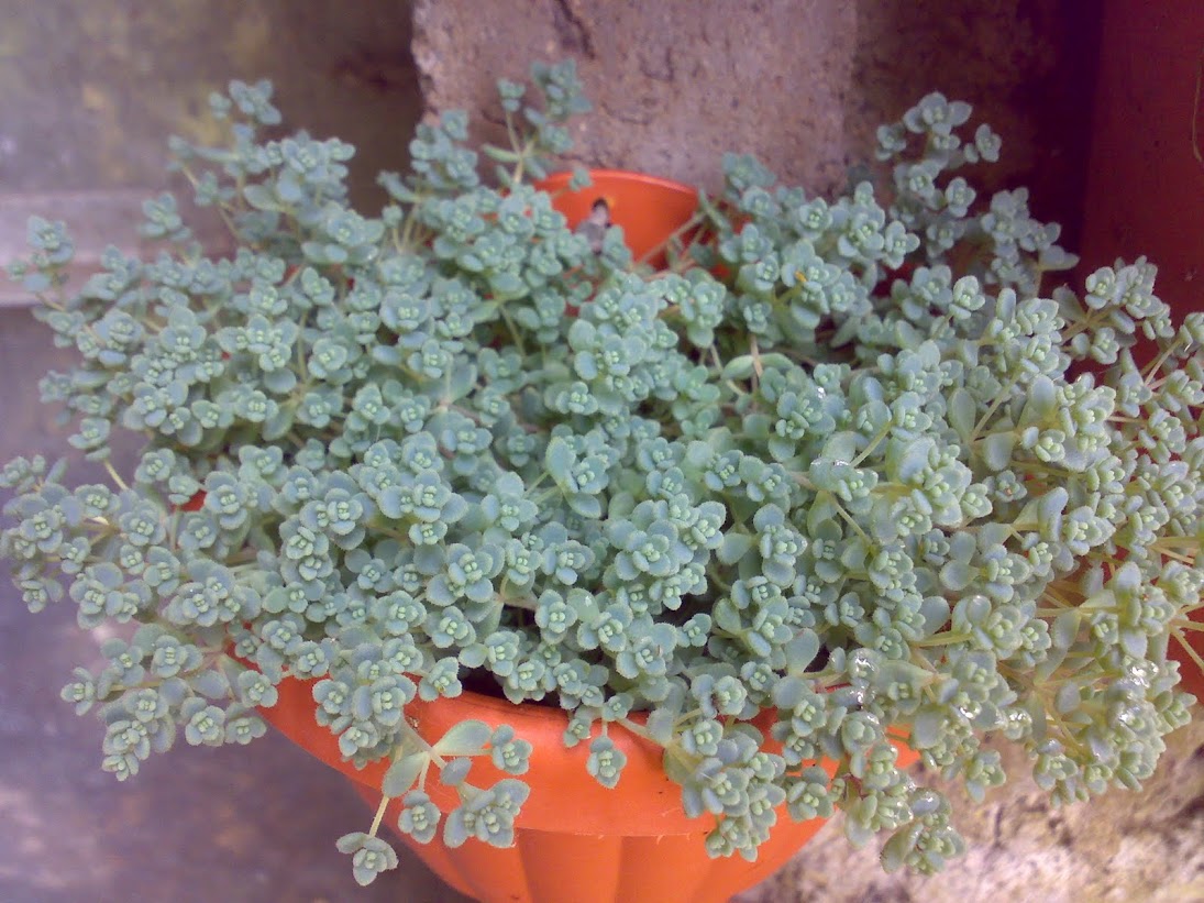 040720116771.jpg