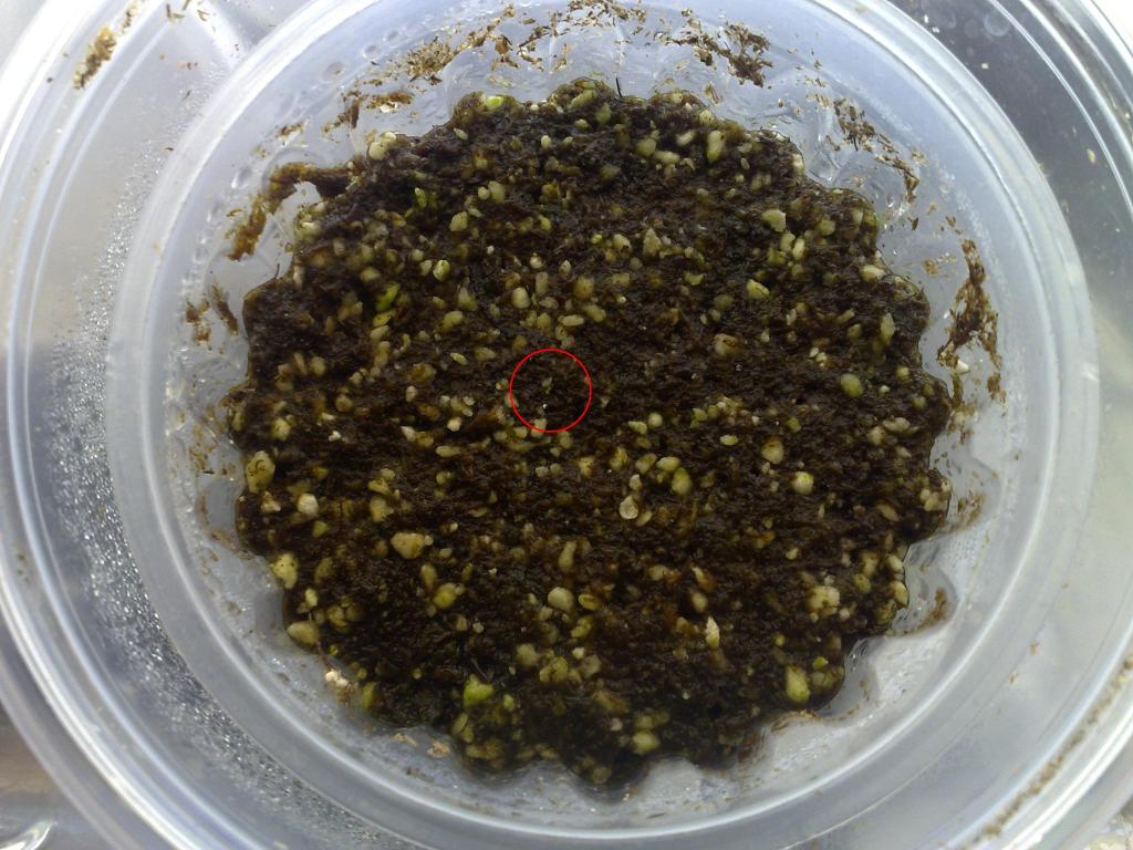 040720123193.jpg