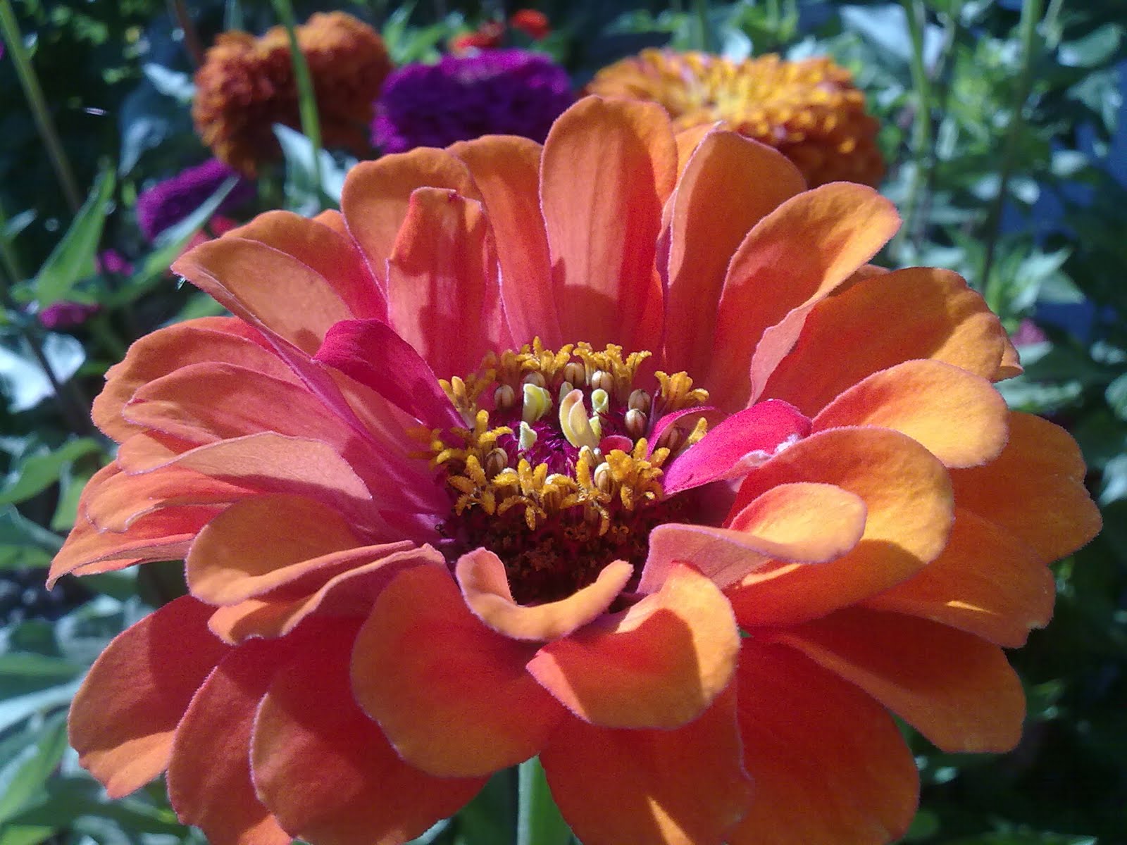 040820102268.jpg