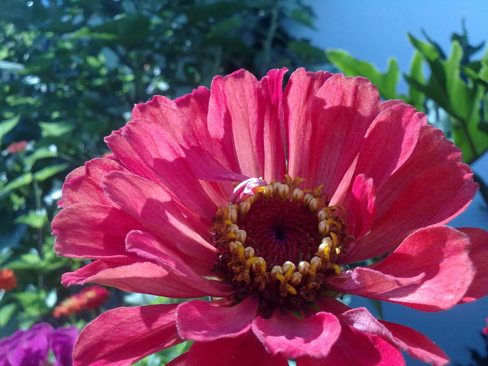 040820102269.jpg