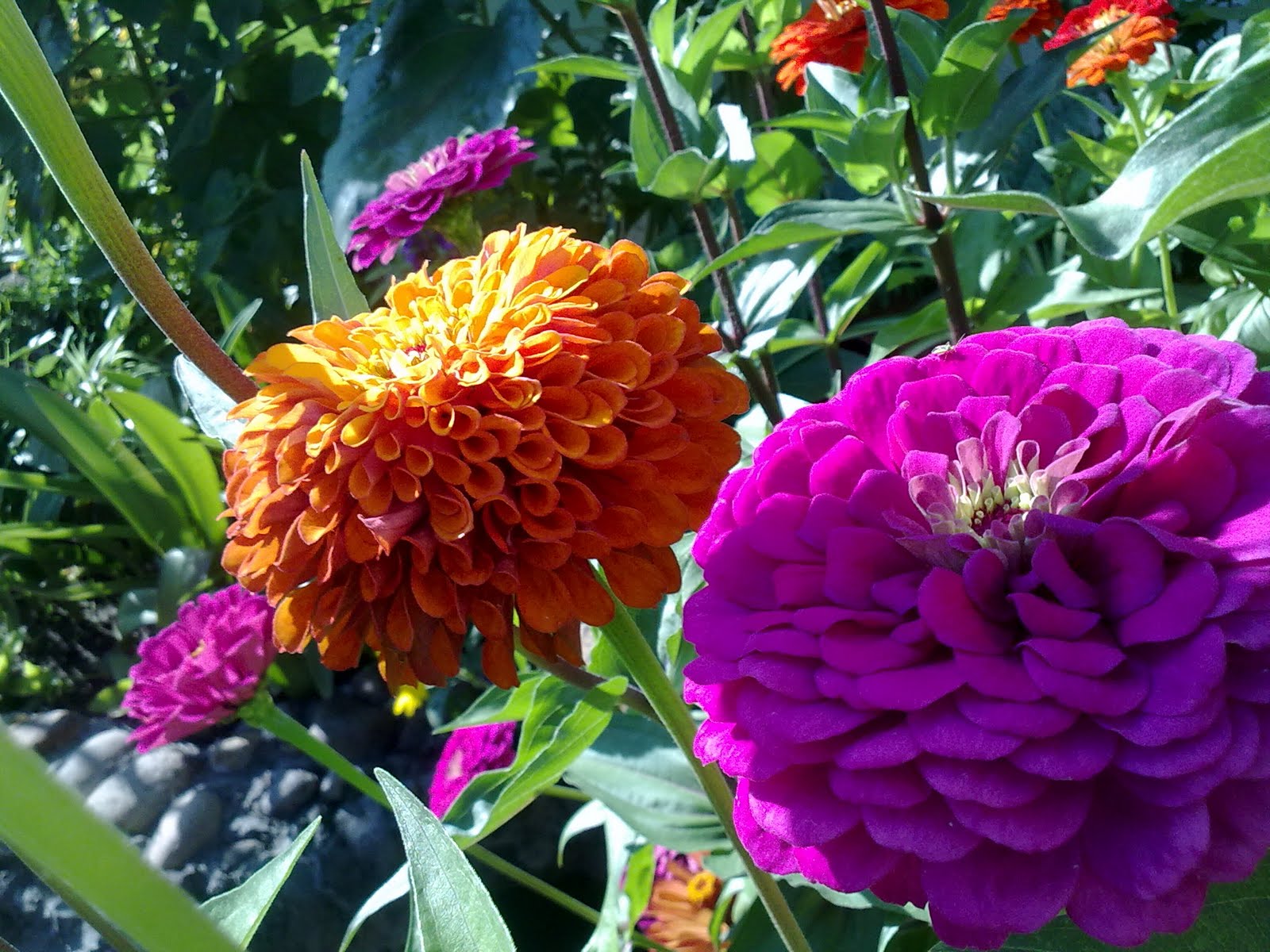 040820102271.jpg