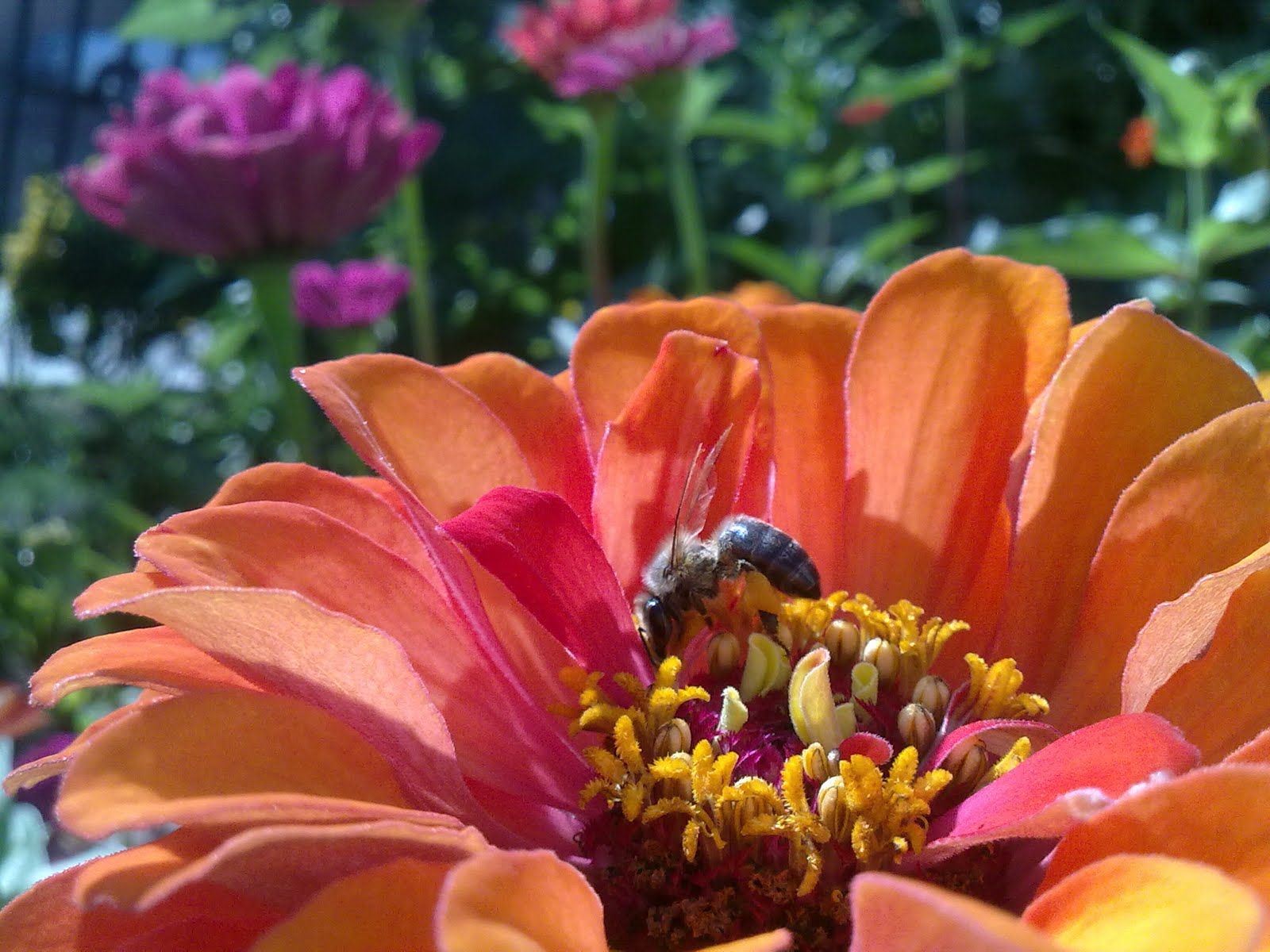040820102272.jpg