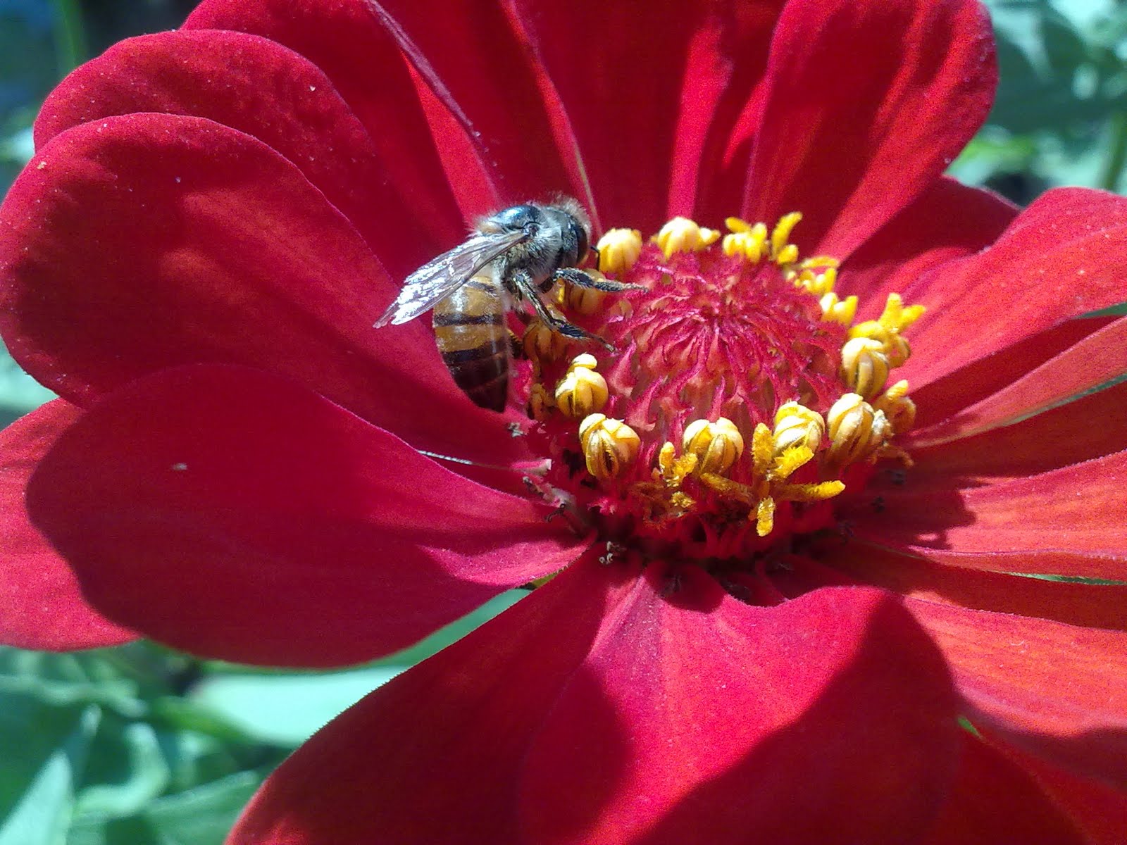 040820102273.jpg