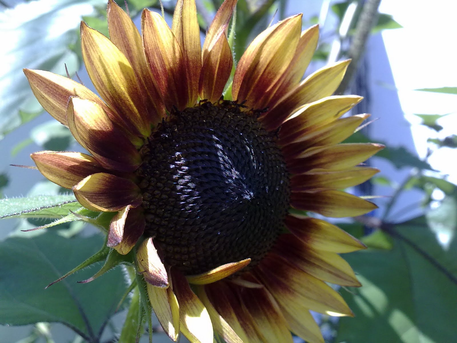 040820102276.jpg