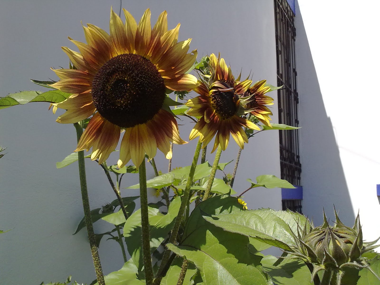 040820102278.jpg