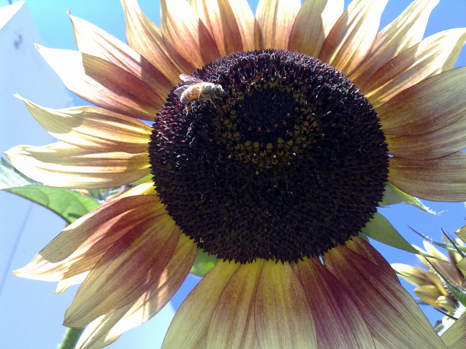 040820102284.jpg