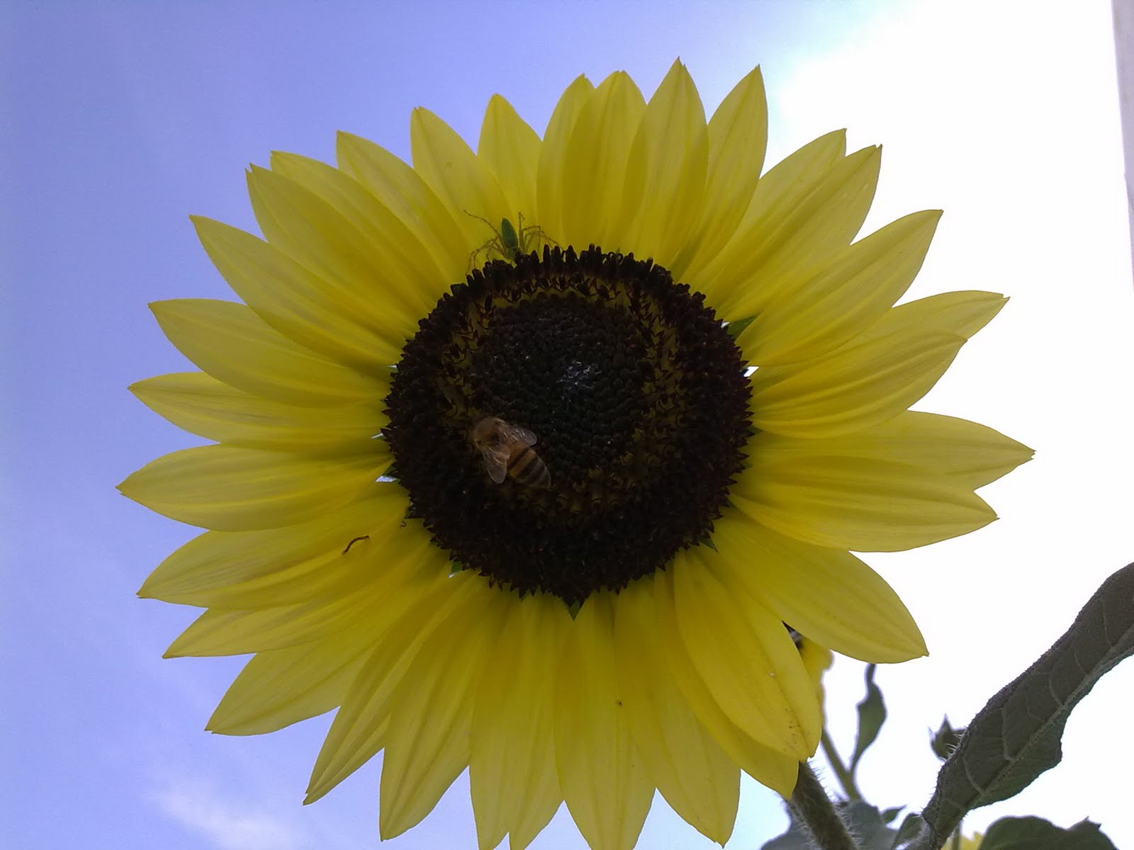 040820102295.jpg