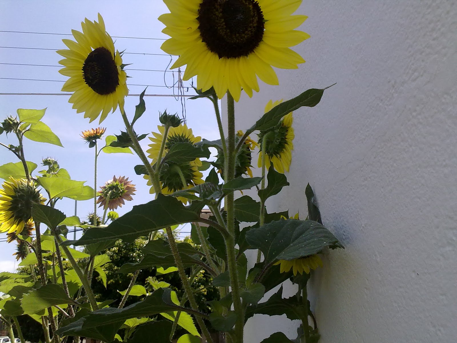 040820102296.jpg