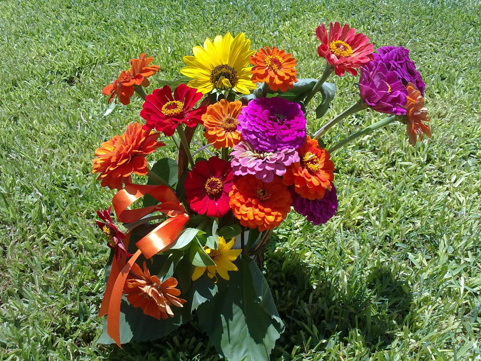 040820102302.jpg