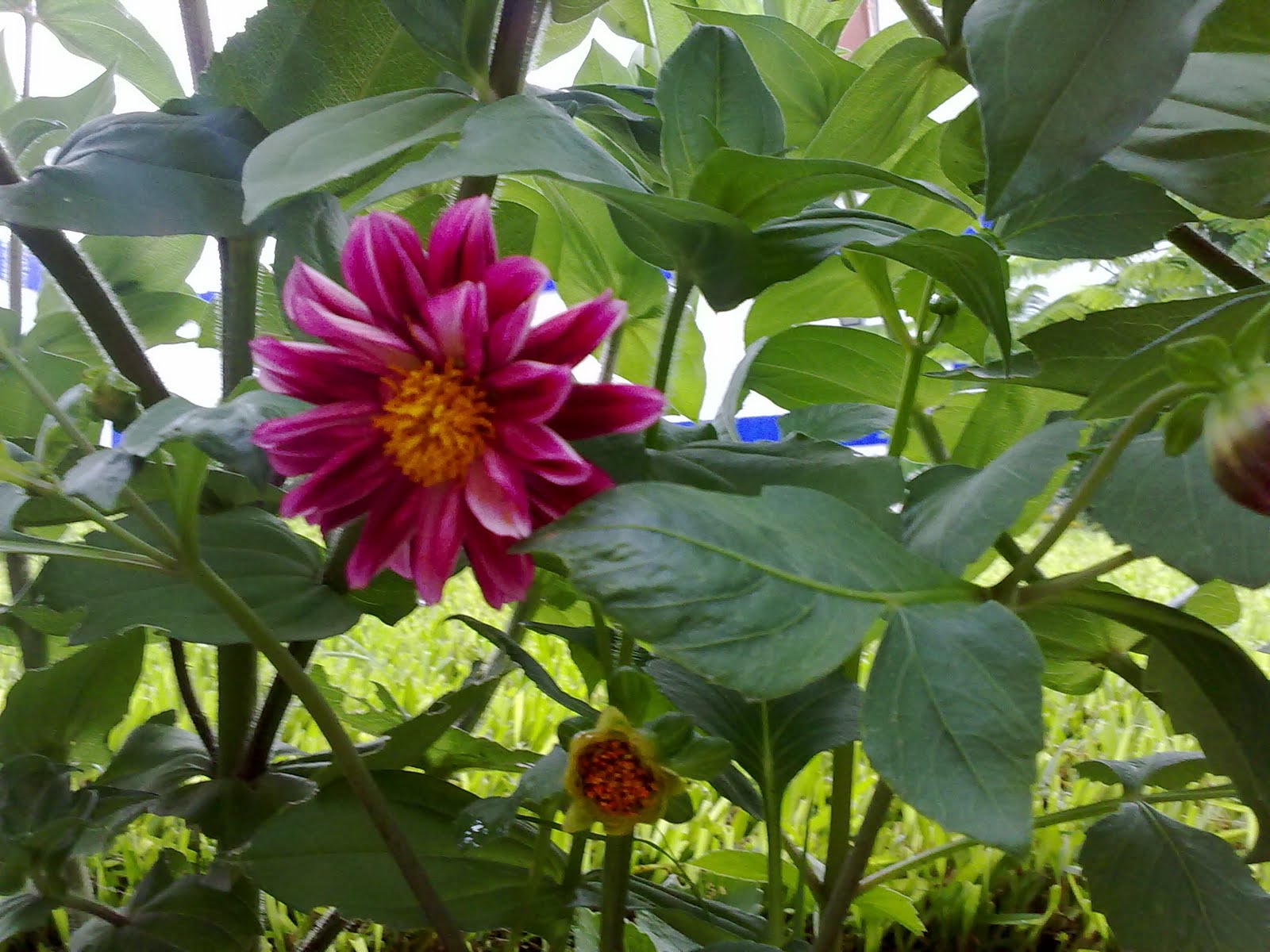 040820102324.jpg
