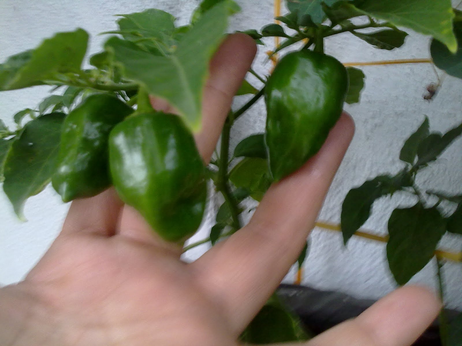 040820102326.jpg