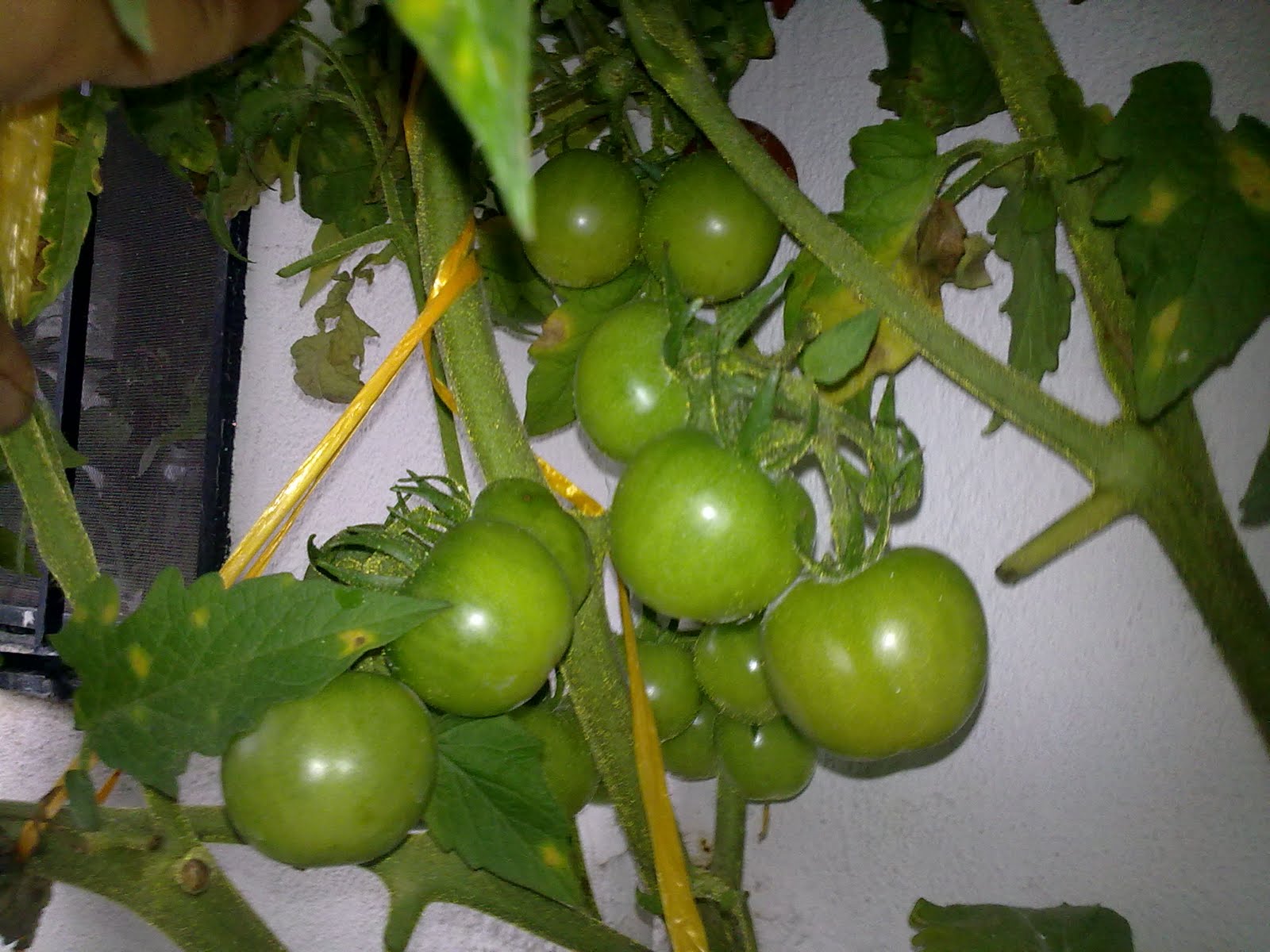 040820102329.jpg