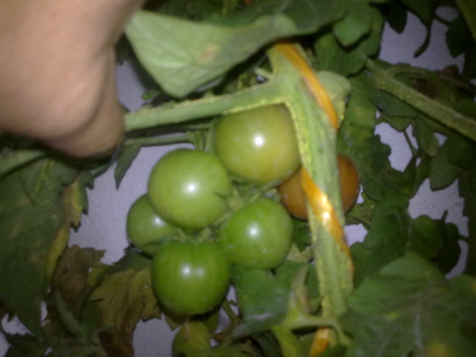 040820102332.jpg