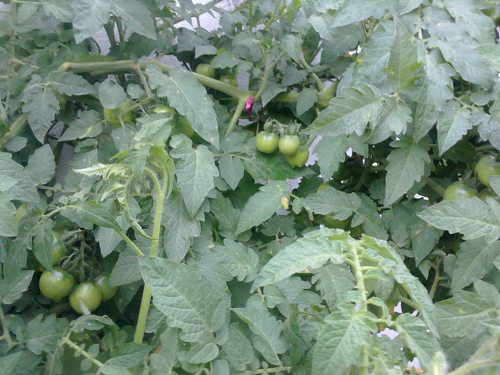 040820102334.jpg