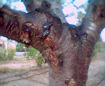 0409_174521.jpg