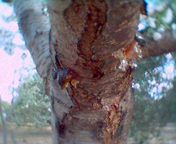 0409_174530.jpg