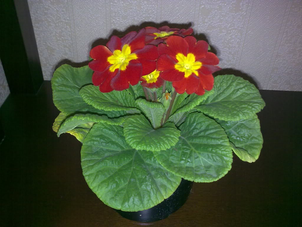 04122010092.jpg