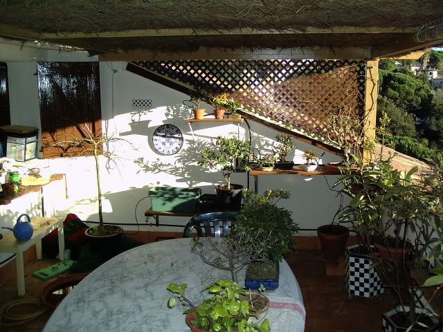0412221600.jpg