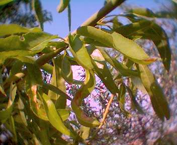 0414_183414.jpg