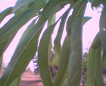 0414_183515.jpg