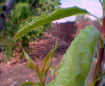 0414_183600.jpg