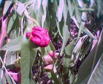 0428_131057.jpg